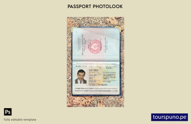 Plantilla de apariencia de foto de pasaporte de Vietnam lista para imprimir